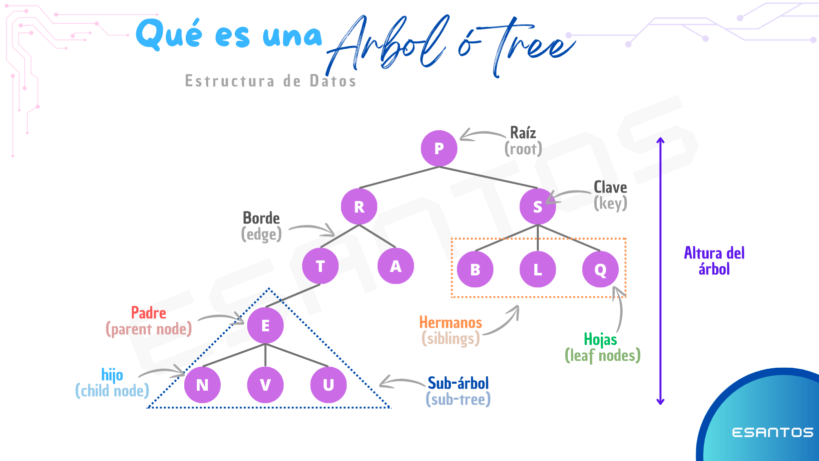 ¿Qué es un Árbol?