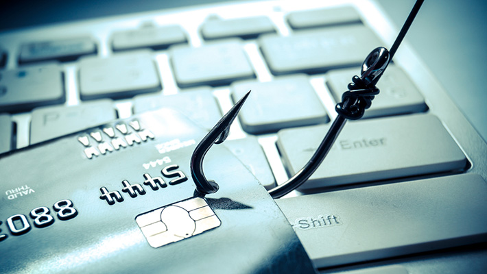 ¡Cuidado con el whaling! Cómo proteger tu empresa de los ataques de ingeniería social