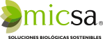 MICSA